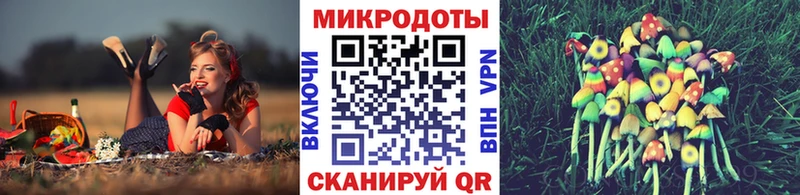 Псилоцибиновые грибы Psilocybe  Мончегорск 