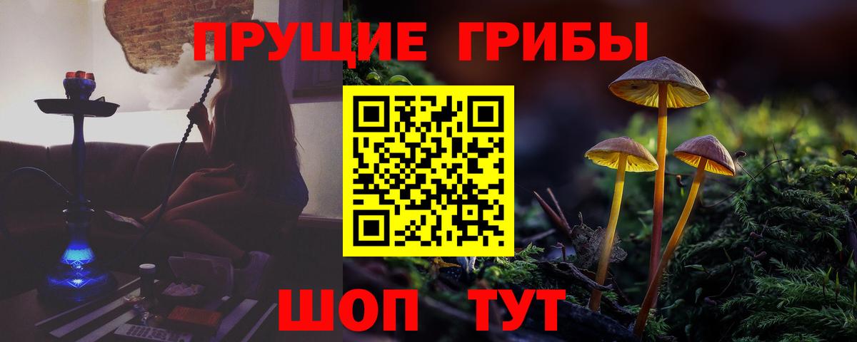 Галлюциногенные грибы Psilocybine cubensis  Псилоцибиновые грибы Cubensis  Мончегорск  Вход с VPN 